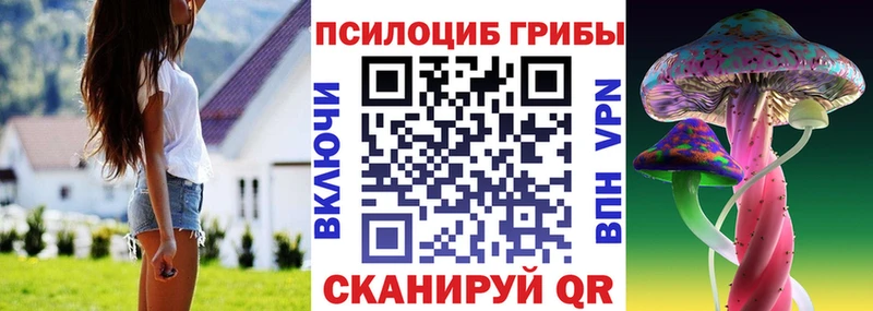 Псилоцибиновые грибы Magic Shrooms  сколько стоит  Павловский Посад 